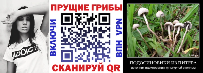 Галлюциногенные грибы мухоморы  Печоры 